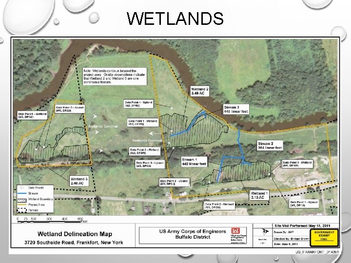 WETLANDS 