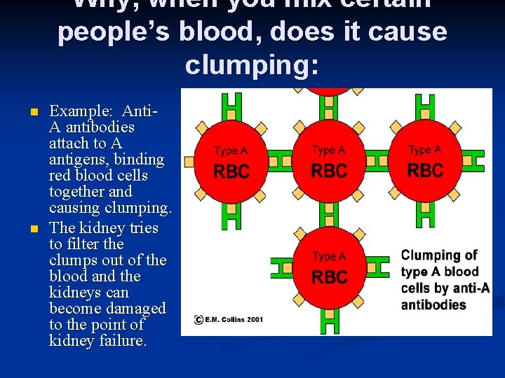 Why, when you mix certain people’s blood, does it cause clumping: n n Example: