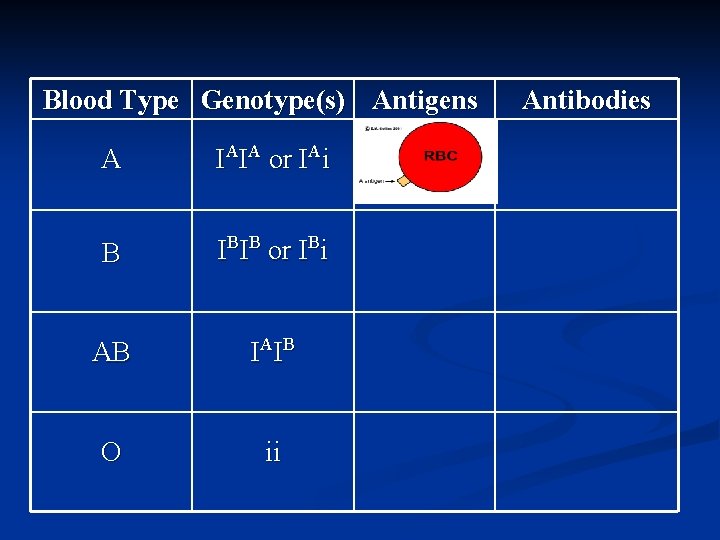 Blood Type Genotype(s) Antigens A IAIA or IAi B IBIB or IBi AB IA