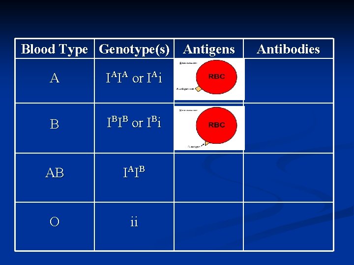 Blood Type Genotype(s) Antigens A IAIA or IAi B IBIB or IBi AB IA
