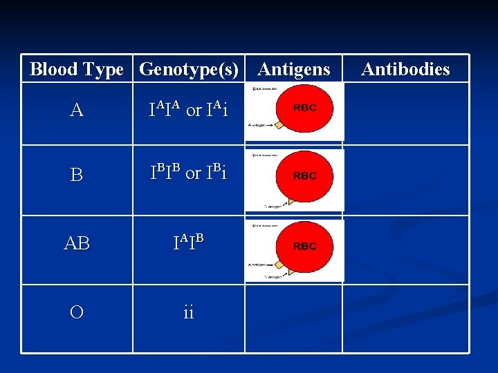 Blood Type Genotype(s) Antigens A IAIA or IAi B IBIB or IBi AB IA