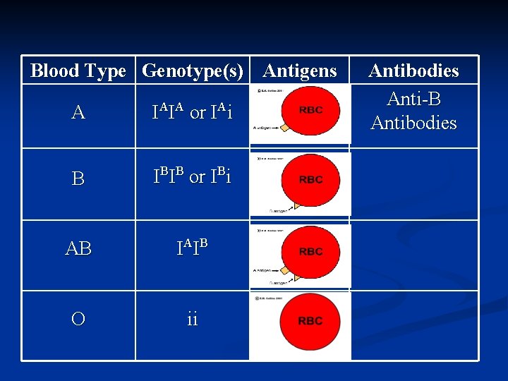 Blood Type Genotype(s) Antigens A IAIA or IAi B IBIB or IBi AB IA