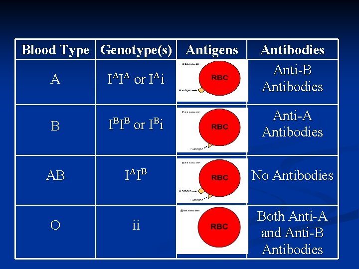 Blood Type Genotype(s) Antigens A IAIA or IAi Antibodies Anti-B Antibodies B I I