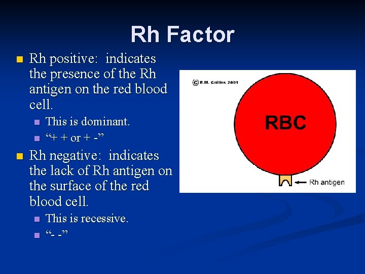 Rh Factor n Rh positive: indicates the presence of the Rh antigen on the