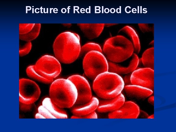 Picture of Red Blood Cells 