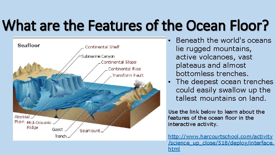 What are the Features of the Ocean Floor? • Beneath the world's oceans lie