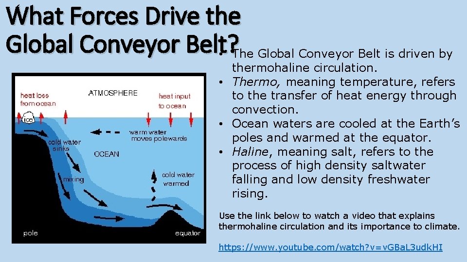 What Forces Drive the Global Conveyor Belt? • The Global Conveyor Belt is driven