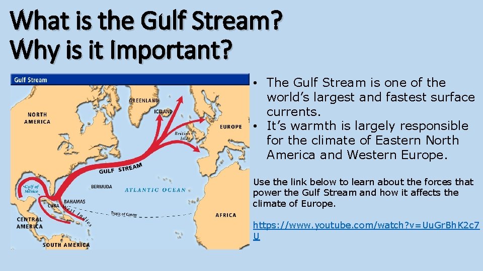 What is the Gulf Stream? Why is it Important? • The Gulf Stream is