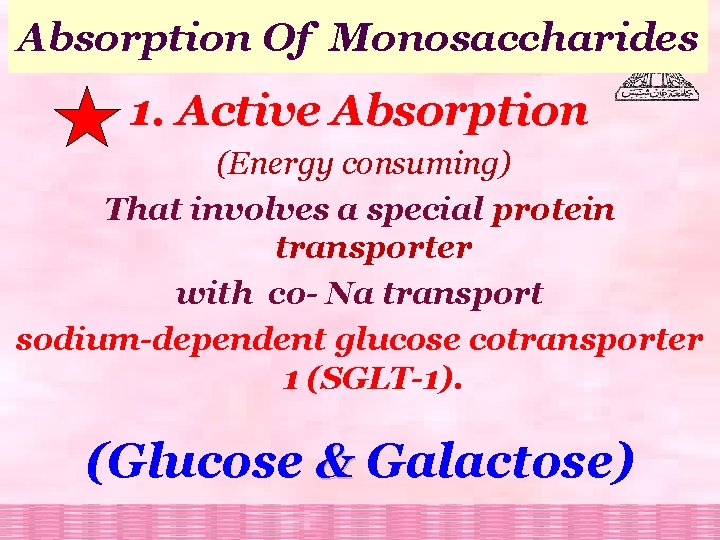 Absorption Of Monosaccharides 1. Active Absorption (Energy consuming) That involves a special protein transporter
