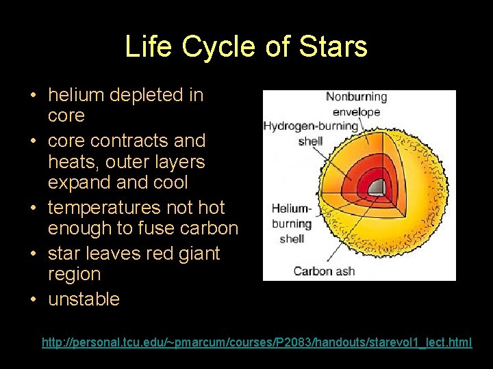 Life Cycle of Stars • helium depleted in core • core contracts and heats,