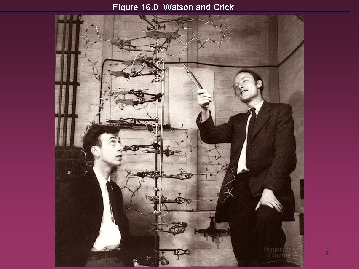 Figure 16. 0 Watson and Crick 2 