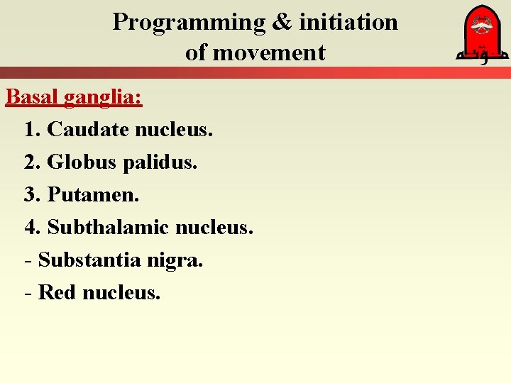 Programming & initiation of movement Basal ganglia: 1. Caudate nucleus. 2. Globus palidus. 3.