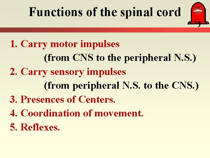 Functions of the spinal cord 1. Carry motor impulses (from CNS to the peripheral