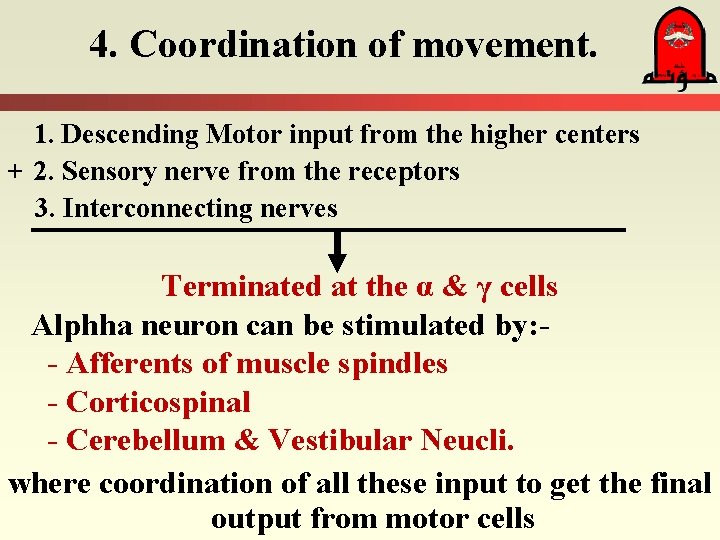 4. Coordination of movement. 1. Descending Motor input from the higher centers + 2.