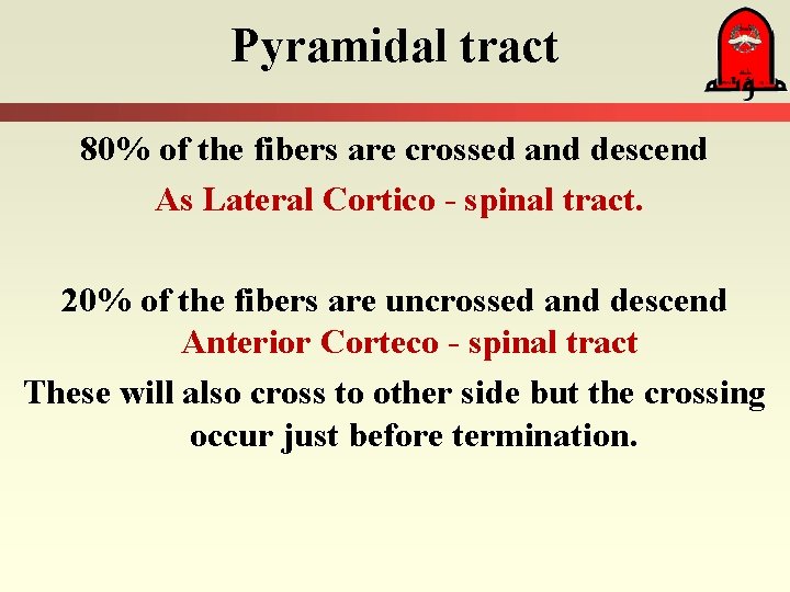 Pyramidal tract 80% of the fibers are crossed and descend As Lateral Cortico -