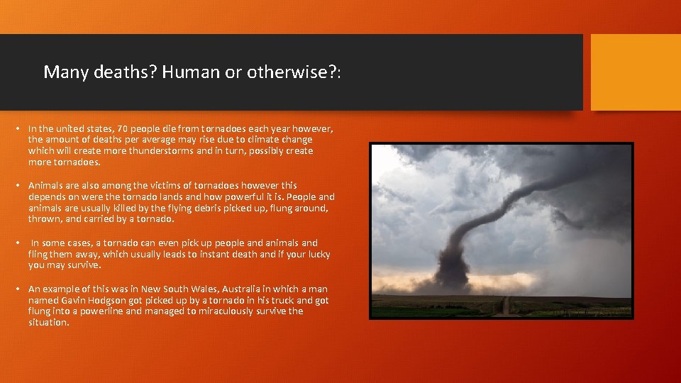 Many deaths? Human or otherwise? : • In the united states, 70 people die