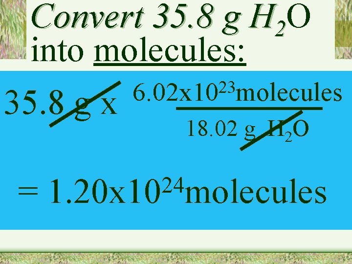 Convert 35. 8 g H 2 O into molecules: 35. 8 g x =