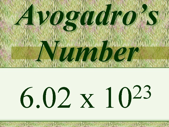 Avogadro’s Number 23 6. 02 x 10 