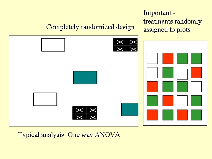 Completely randomized design Typical analysis: One way ANOVA Important treatments randomly assigned to plots