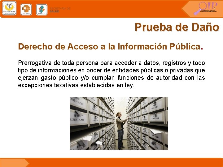 Prueba de Daño Derecho de Acceso a la Información Pública. Prerrogativa de toda persona