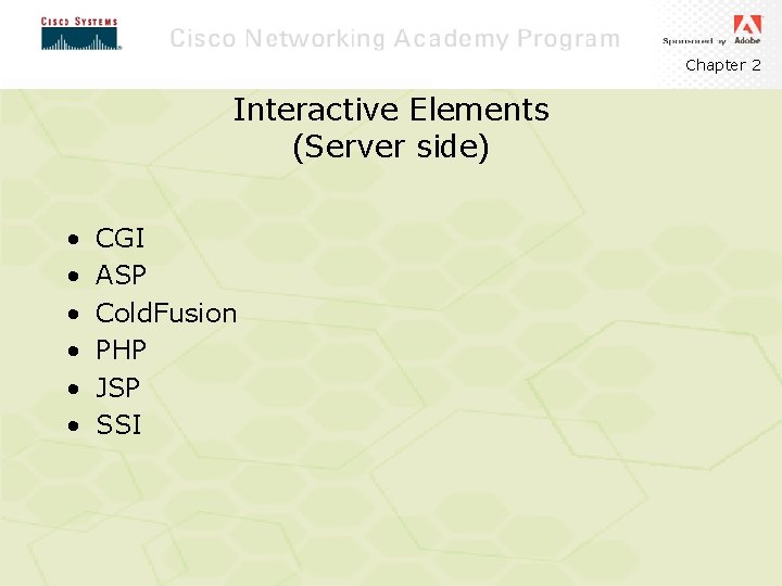 Chapter 2 Interactive Elements (Server side) • • • CGI ASP Cold. Fusion PHP
