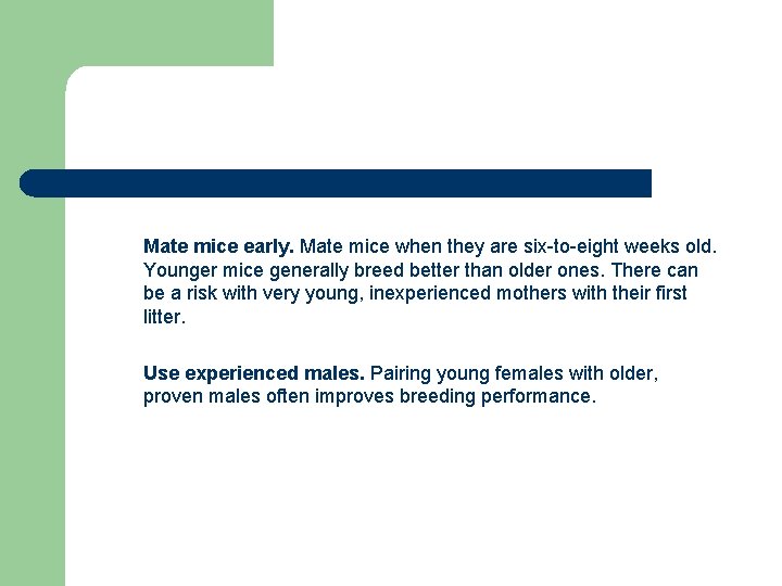 Mate mice early. Mate mice when they are six-to-eight weeks old. Younger mice generally