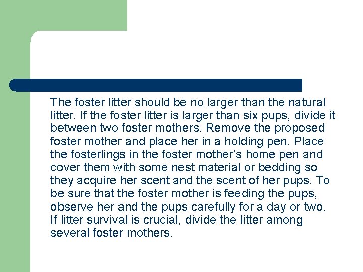 The foster litter should be no larger than the natural litter. If the foster