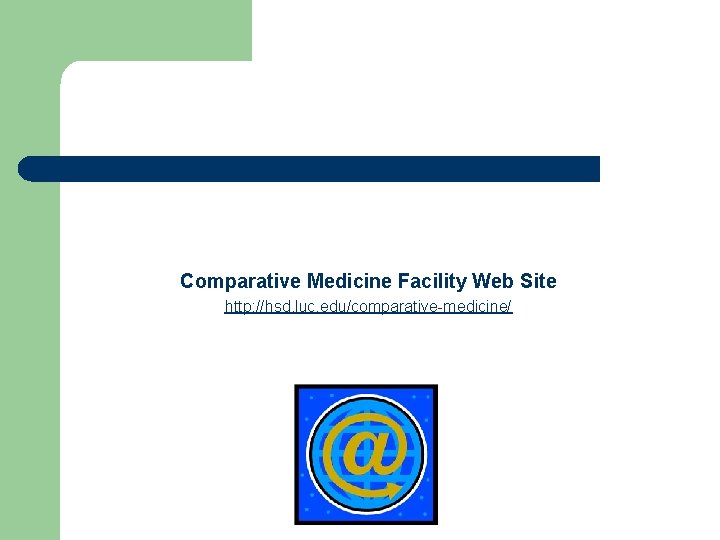 Comparative Medicine Facility Web Site http: //hsd. luc. edu/comparative-medicine/ 