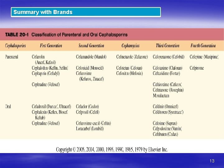 Summary with Brands 13 