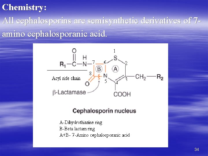 Chemistry: All cephalosporins are semisynthetic derivatives of 7 amino cephalosporanic acid. 34 