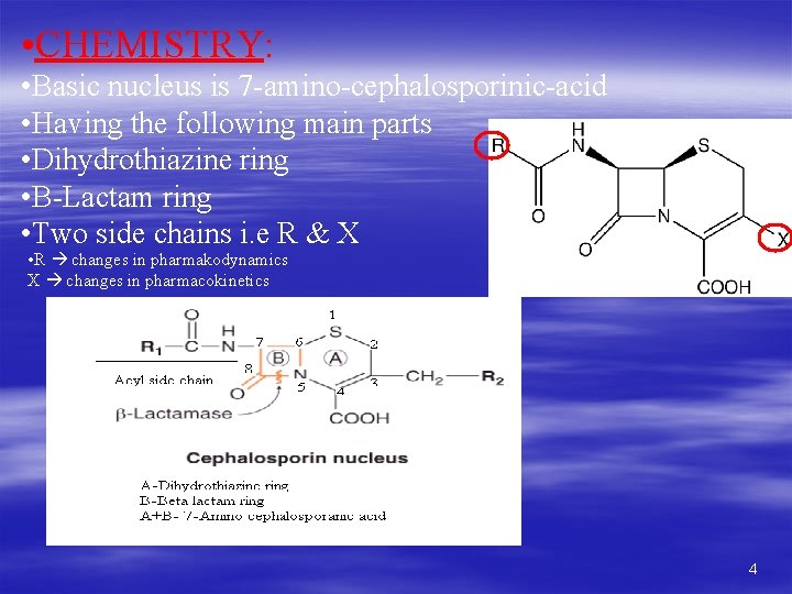  • CHEMISTRY: • Basic nucleus is 7 -amino-cephalosporinic-acid • Having the following main