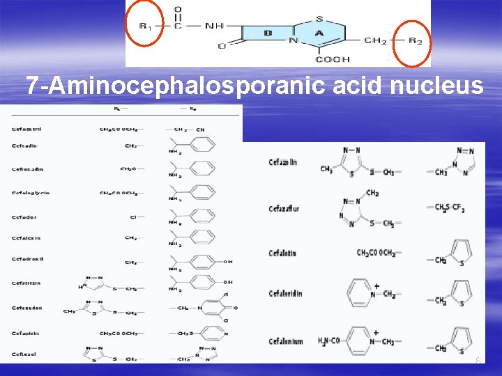 7 -Aminocephalosporanic acid nucleus 6 