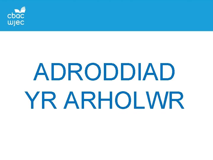 ADRODDIAD YR ARHOLWR 