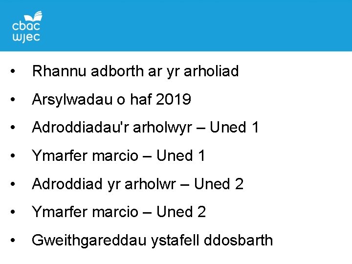  • Rhannu adborth ar yr arholiad • Arsylwadau o haf 2019 • Adroddiadau'r