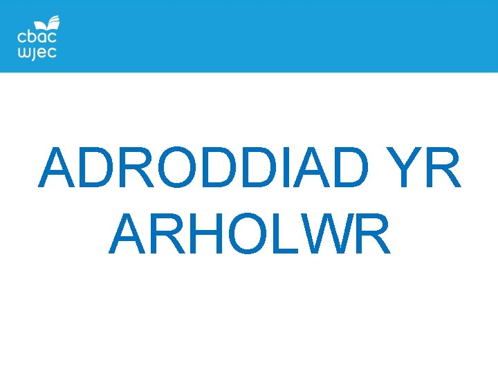 ADRODDIAD YR ARHOLWR 