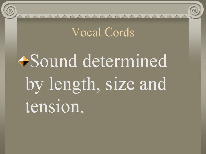 Vocal Cords Sound determined by length, size and tension. 