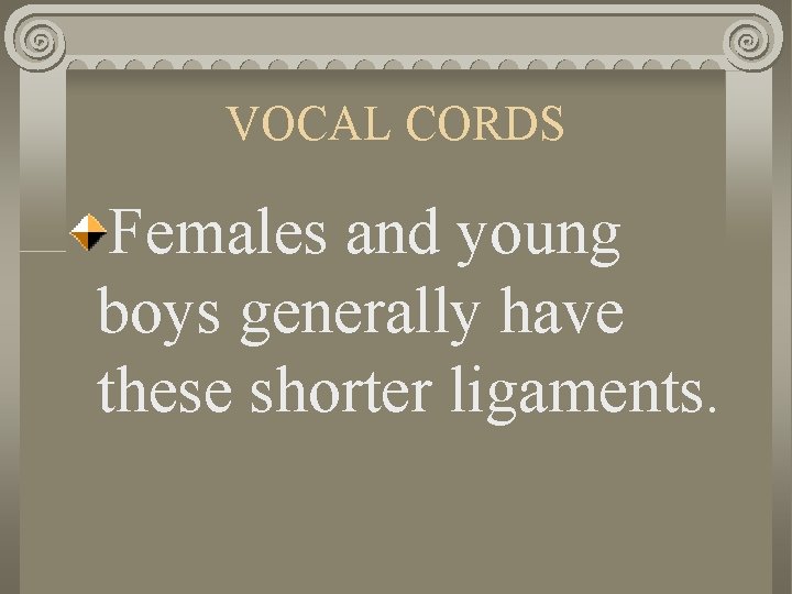 VOCAL CORDS Females and young boys generally have these shorter ligaments. 