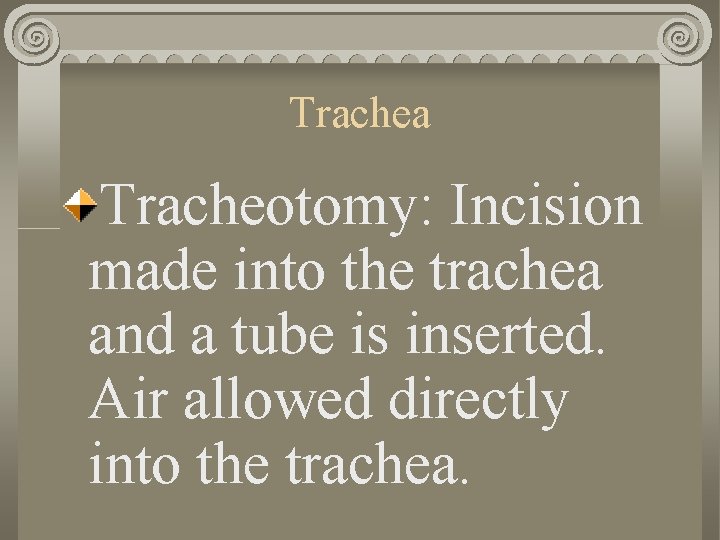 Trachea Tracheotomy: Incision made into the trachea and a tube is inserted. Air allowed