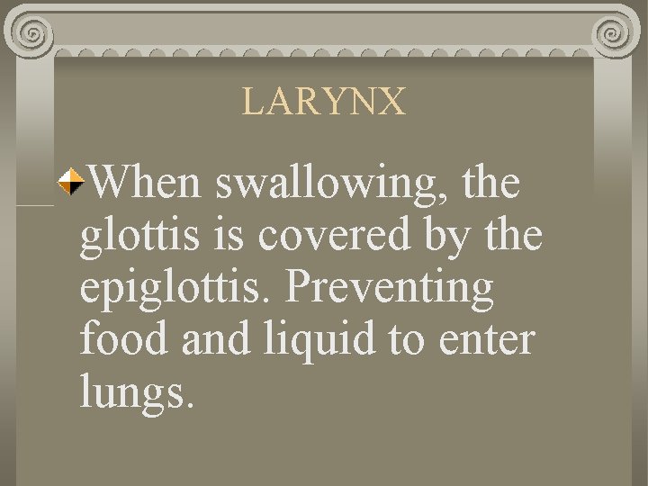 LARYNX When swallowing, the glottis is covered by the epiglottis. Preventing food and liquid