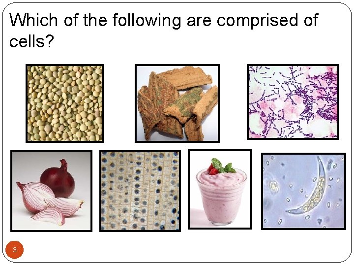 Which of the following are comprised of cells? 3 