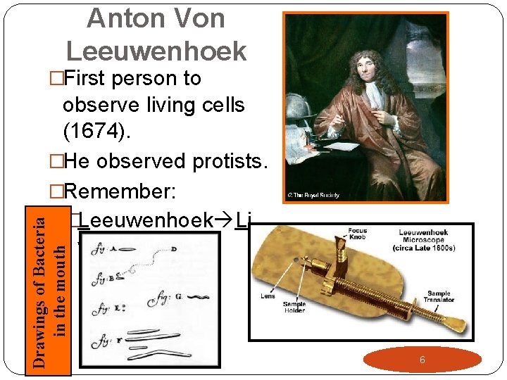 Anton Von Leeuwenhoek �First person to Drawings of Bacteria in the mouth observe living