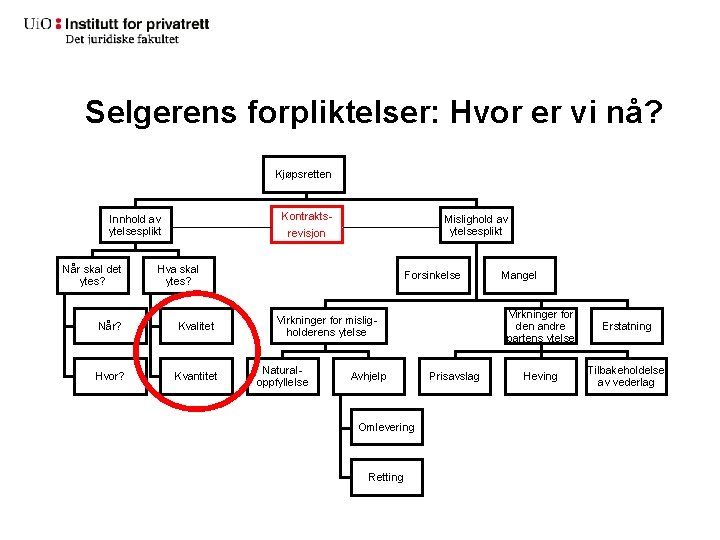 Selgerens forpliktelser: Hvor er vi nå? Kjøpsretten Kontrakts- Innhold av ytelsesplikt Når skal det