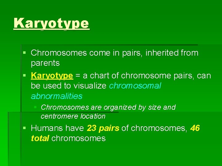 Karyotype § Chromosomes come in pairs, inherited from parents § Karyotype = a chart