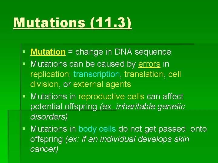 Mutations (11. 3) § Mutation = change in DNA sequence § Mutations can be