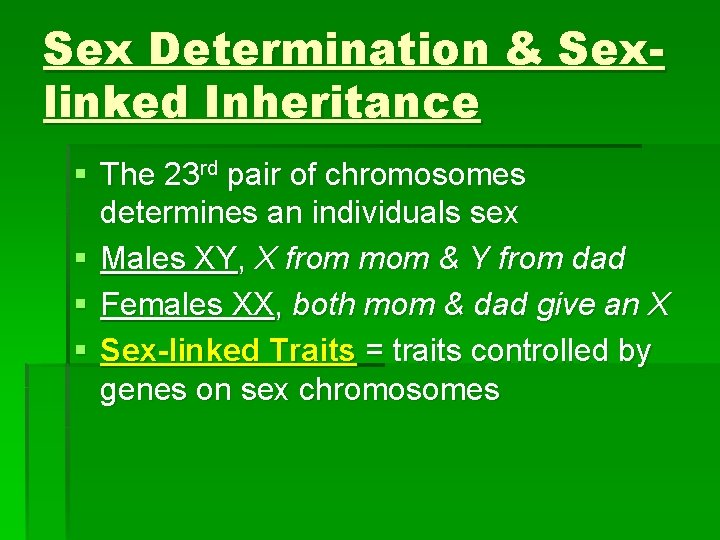 Sex Determination & Sexlinked Inheritance § The 23 rd pair of chromosomes determines an