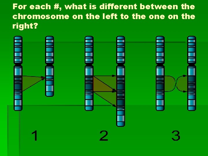 For each #, what is different between the chromosome on the left to the
