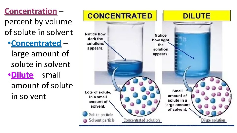 Concentration – percent by volume of solute in solvent • Concentrated – large amount