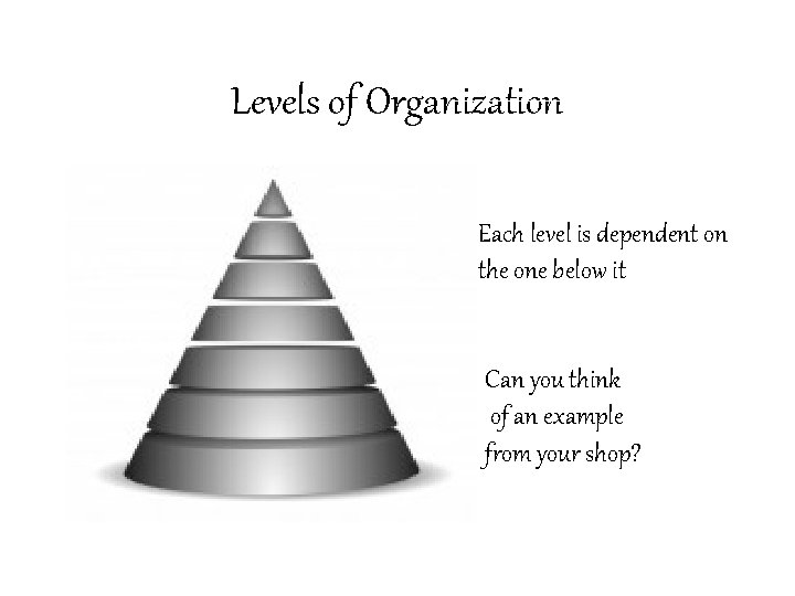 Levels of Organization Each level is dependent on the one below it Can you