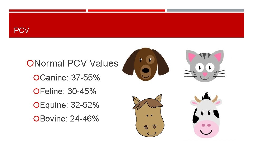 PCV Normal PCV Values Canine: 37 -55% Feline: 30 -45% Equine: 32 -52% Bovine: