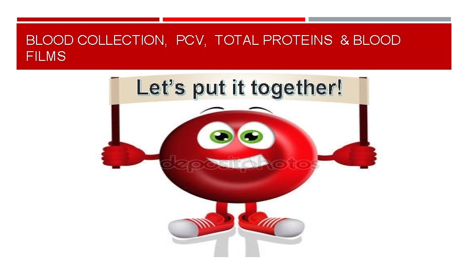 BLOOD COLLECTION, PCV, TOTAL PROTEINS & BLOOD FILMS Let’s put it together! 